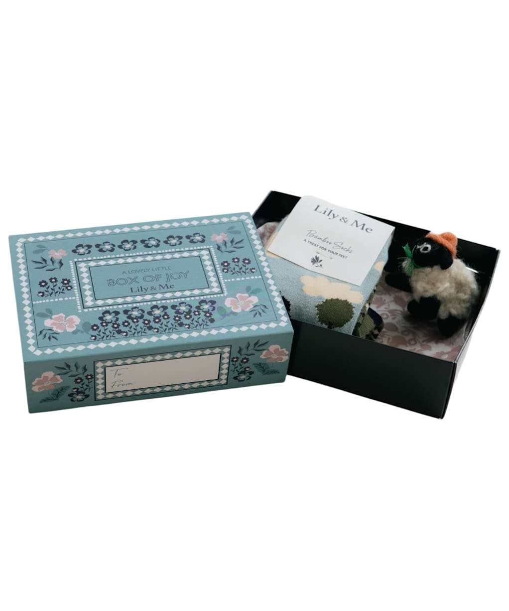 Women's Lily & Me Sock Gift Box - Country Scene Sheep