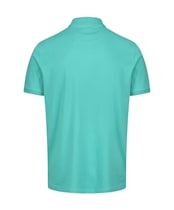 Men’s Alan Paine Falmouth Pique Polo Shirt - Peppermint