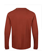 Men’s Globe Every Damn Day LS Tee - Dark Walnut
