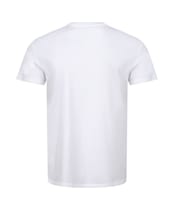 Men’s Etnies RP Arrow Tee - White