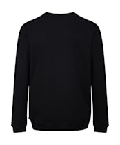 Men’s Fjallraven Vardog Sweatshirt - Black