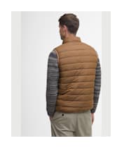 Bradbury Gilet - Fossil