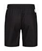 Men’s Globe Clean Swell Pool Shorts - Black