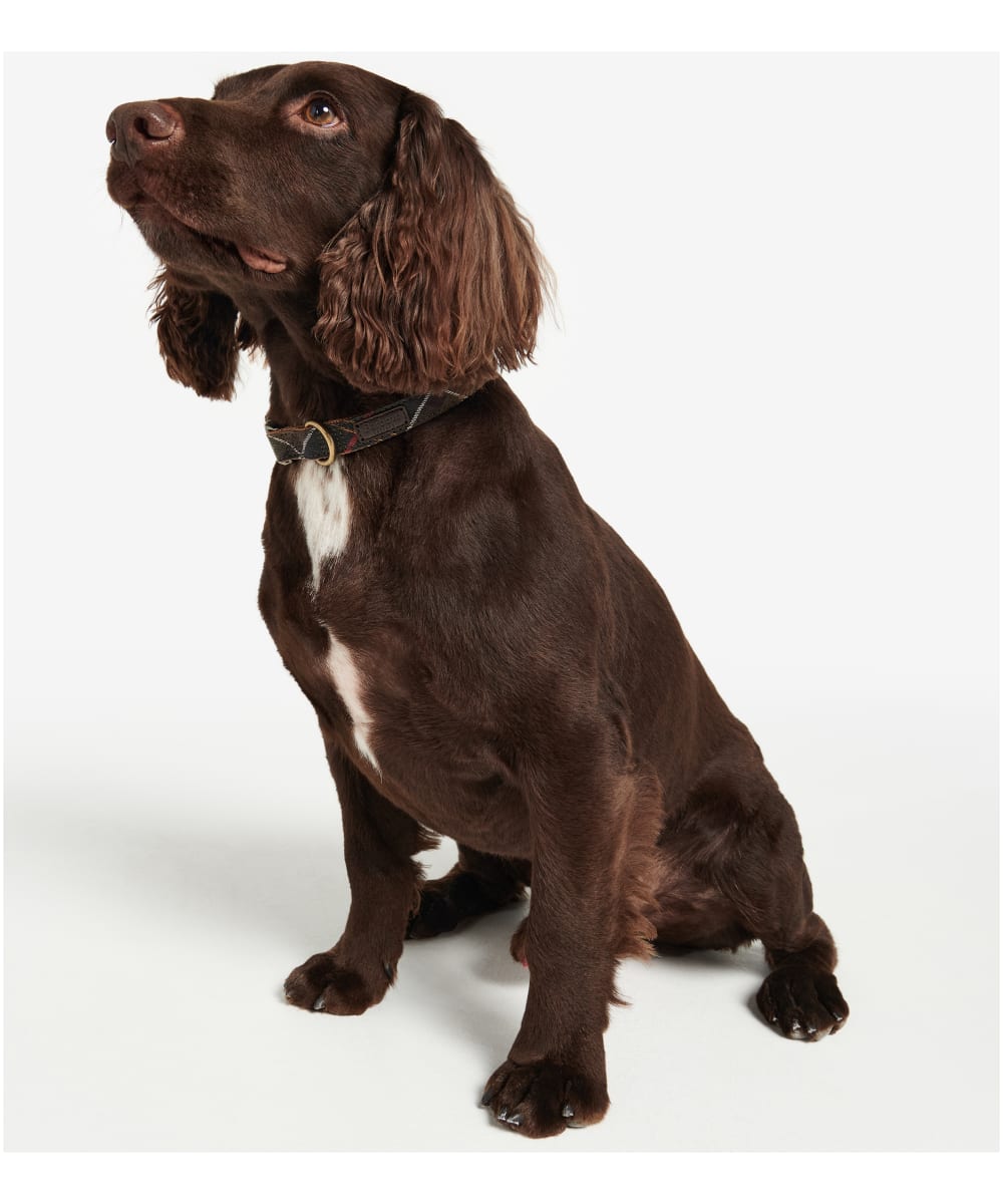 Barbour Tartan Webbing Dog Collar