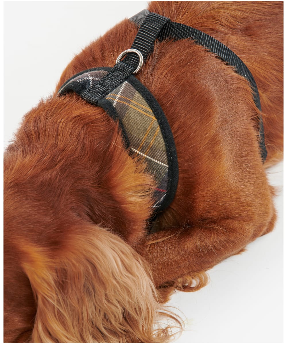 Barbour Tartan Dog Harness