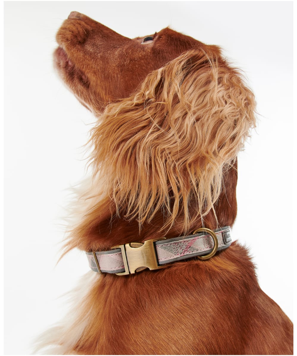 Barbour pink dog collar outlet
