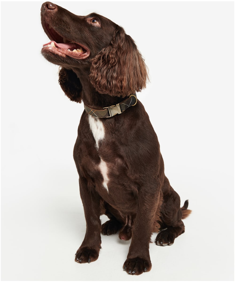 Barbour Reflective Tartan Dog Collar