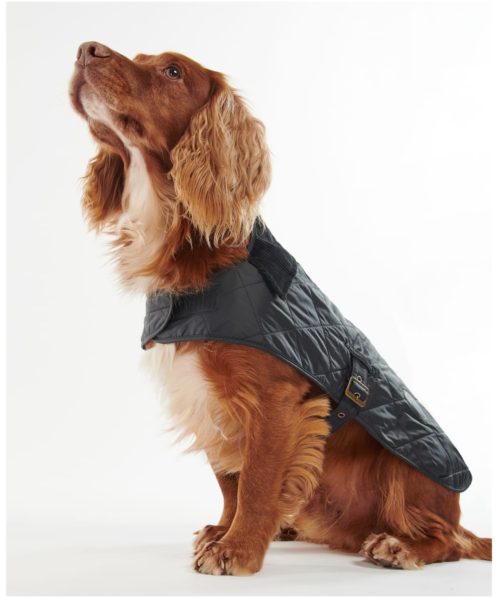 Barbour dog coat navy outlet