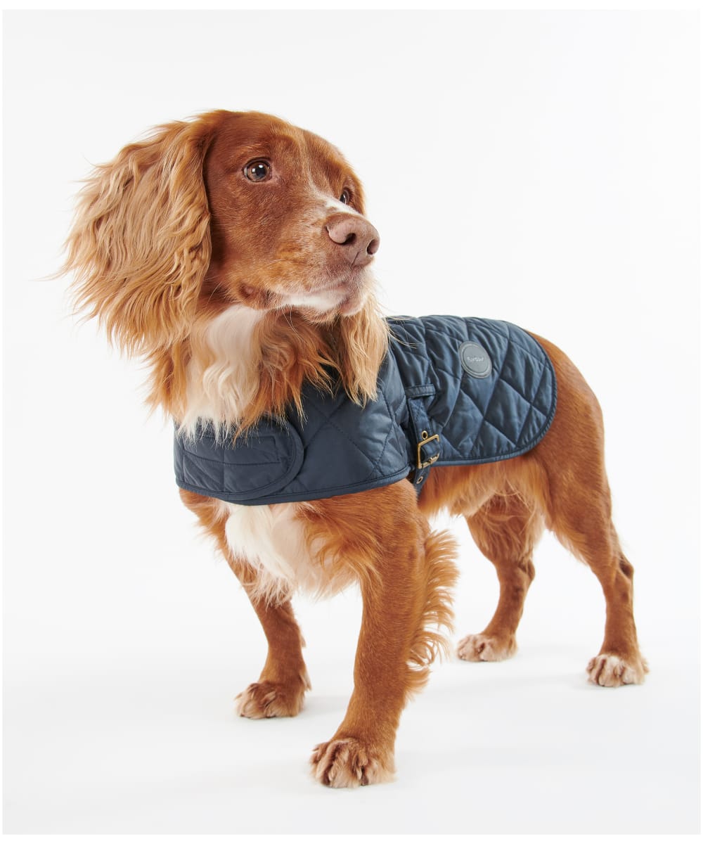Barbour small dog coat new arrivals