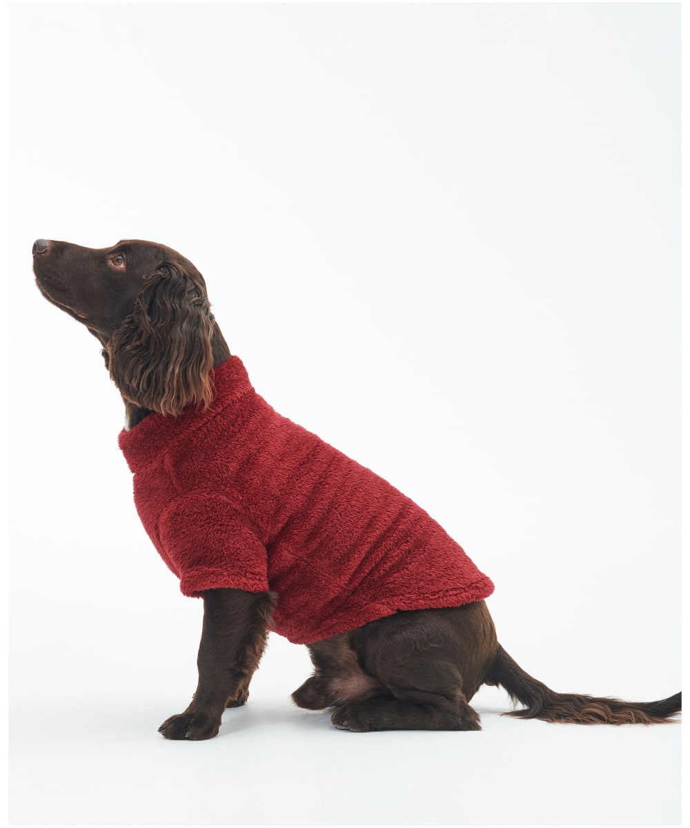 Dog jumpers ireland clearance