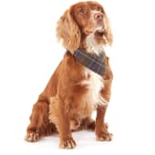 Barbour Tartan Dog Bandana