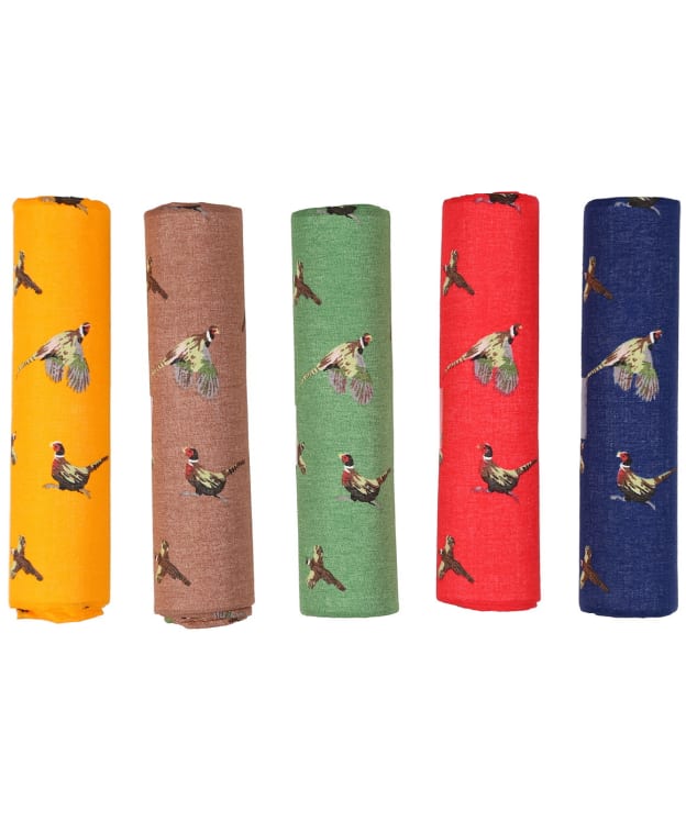 Men's Soprano Pheasant Handkerchief Pack - Multi