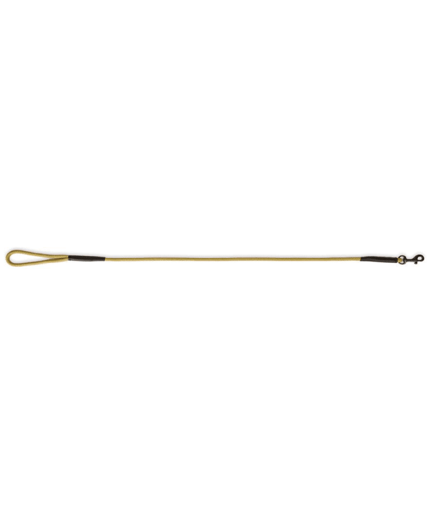 Dubarry Charlie Rope Dog Lead - Gold