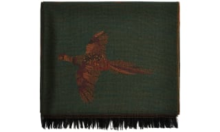 Dubarry Scarves