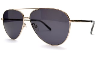 Barbour Sunglasses
