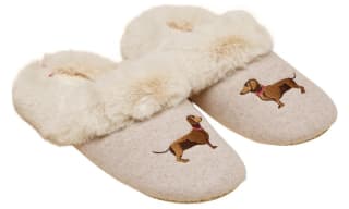 All Joules Footwear