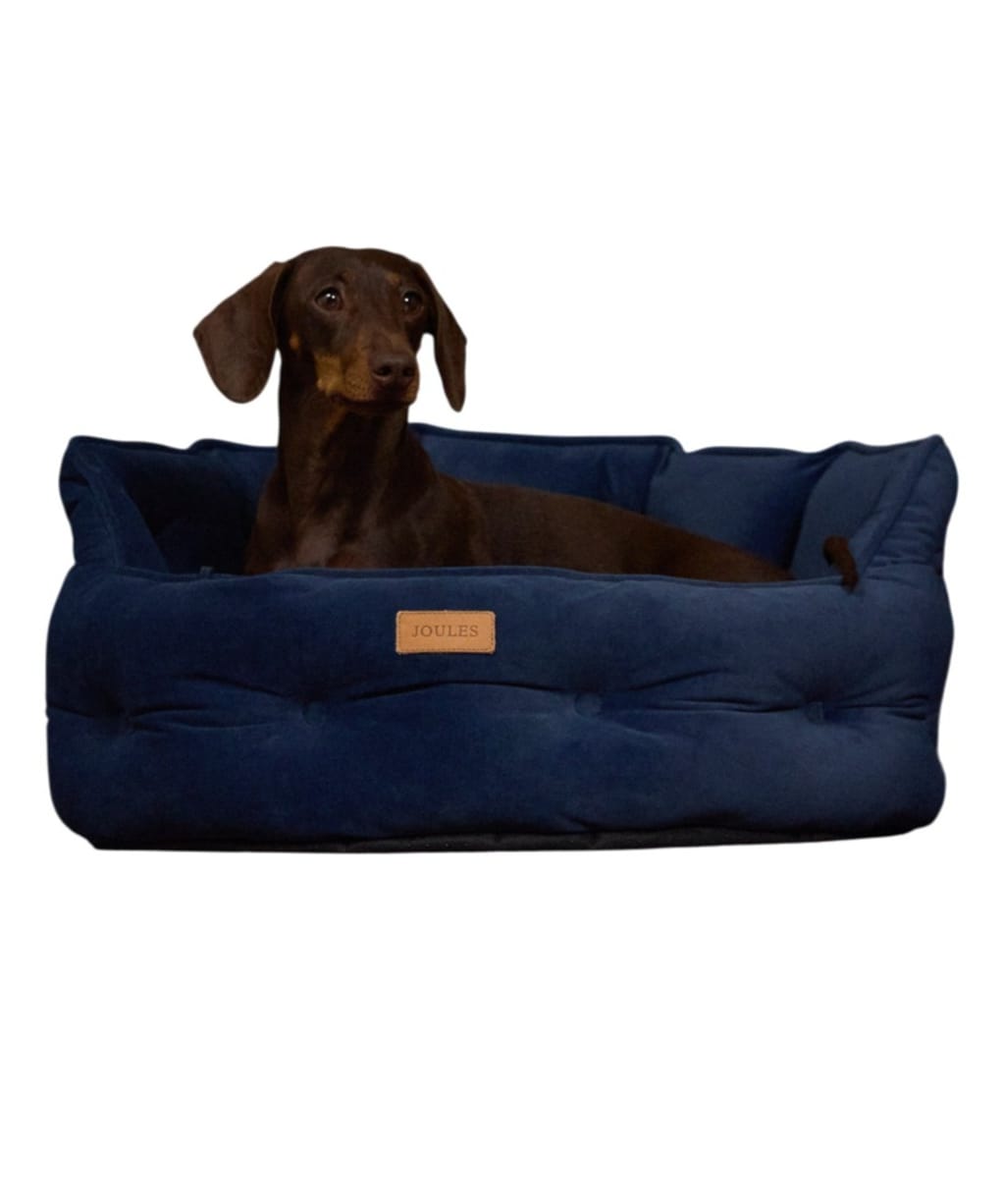 Joules Chesterfield Dog Bed - Large - Navy