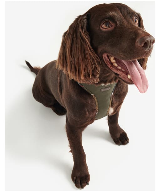 Barbour Comfort Dog Harness - Olive