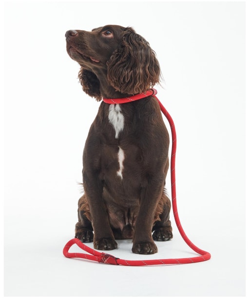 Barbour Dog Reflective Slip Lead - Red