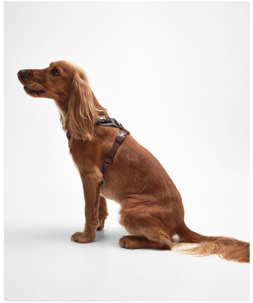 Barbour Fully Adjustable Padded Dog Harness