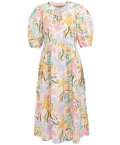 Delphinium Mid - Multi