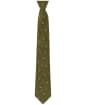 Men's Soprano Standing Stag Tie - Country Green