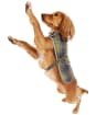 Barbour Wetherham Tartan Dog Coat - Classic Tartan