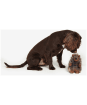 Barbour Dog Hedgehog Toy - BROWN/TARTAN