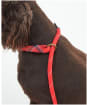 Barbour Dog Reflective Slip Lead - Red
