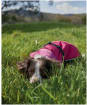 Barbour Monmouth Waterproof Dog Coat - Acid Pink