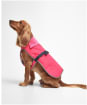 Barbour Monmouth Waterproof Dog Coat - Acid Pink