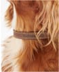 Barbour Leather Dog Collar - Brown
