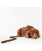 Barbour Leather Dog Lead - Brown