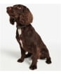 Barbour Tartan Webbing Dog Collar - Barbour Classic