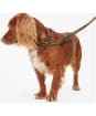 Barbour Tartan Webbing Dog Lead - Barbour Classic