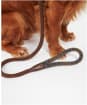 Barbour Tartan Trimmed Slip Dog Lead - Barbour Classic