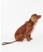 Barbour Tartan Trimmed Slip Dog Lead - Barbour Classic