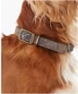 Barbour Tartan Dog Collar - Classic Tartan
