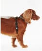 Barbour Tartan Dog Harness - Classic Tartan