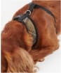Barbour Tartan Dog Harness - Classic Tartan