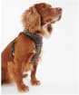 Barbour Tartan Dog Harness - Classic Tartan