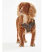 Barbour Travel and Exercise Dog Harness - Classic Tartan