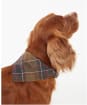 Barbour Tartan Dog Bandana - Classic Tartan