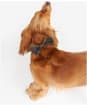 Barbour Tartan Dog Bow Tie - Classic Tartan