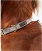 Barbour Reflective Tartan Dog Collar - Taupe / Pink Tartan