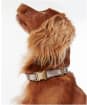 Barbour Reflective Tartan Dog Collar - Taupe / Pink Tartan