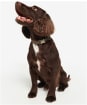 Barbour Reflective Tartan Dog Collar - Classic Tartan