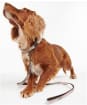 Barbour Reflective Tartan Dog Lead - Taupe / Pink Tartan