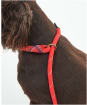 Barbour Dog Reflective Slip Lead - Red