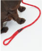 Barbour Dog Reflective Slip Lead - Red